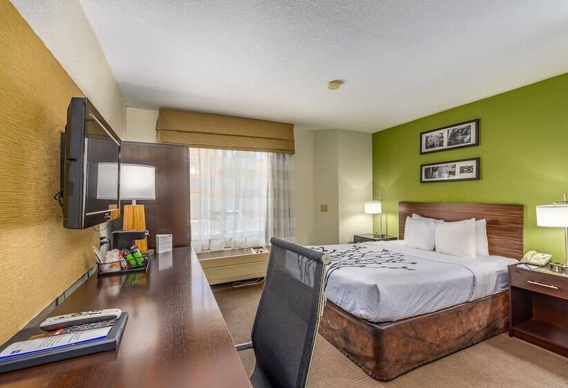 חדר סטנדרט, Sleep Inn Airport