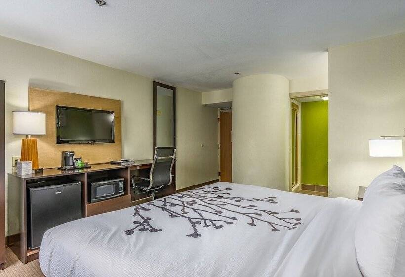 חדר סטנדרט, Sleep Inn Airport