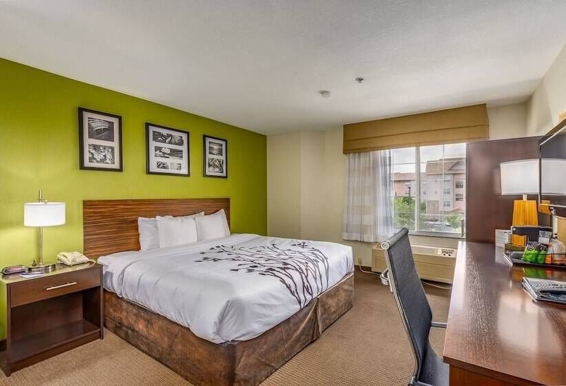 חדר סטנדרט, Sleep Inn Airport