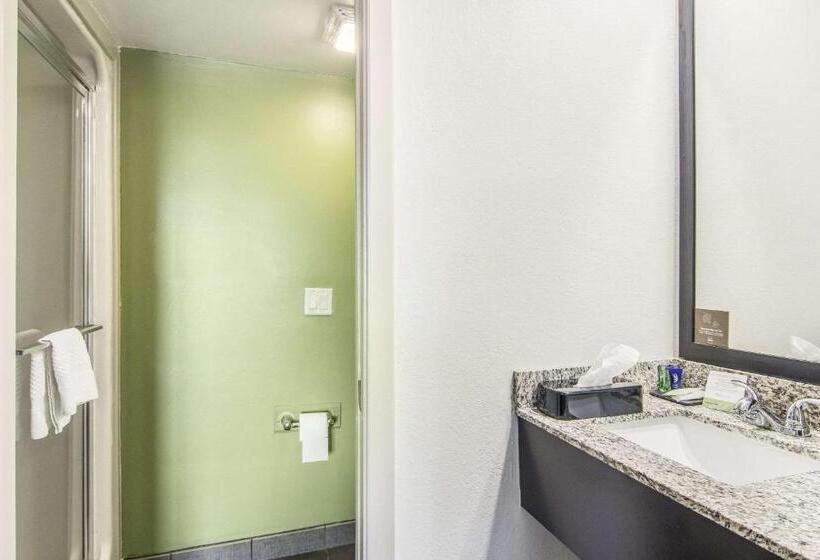 Номер Стандарт 2 Двуспальные Кровати, Sleep Inn Austintown   Youngstown, West