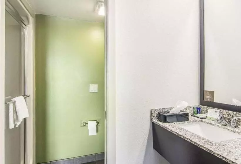Standard-huone 2 Parivuodetta, Sleep Inn Austintown Youngstown, West