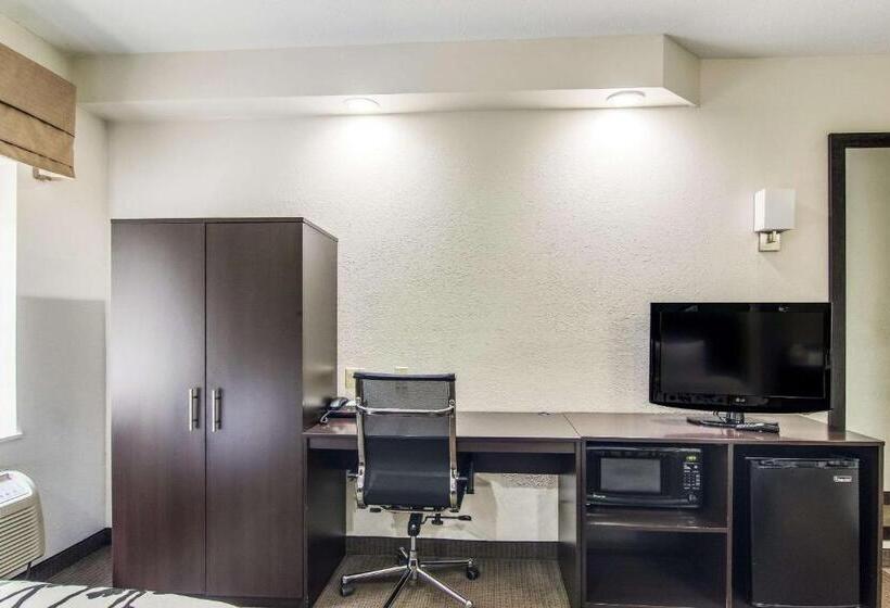 Номер Стандарт 2 Двуспальные Кровати, Sleep Inn Austintown   Youngstown, West