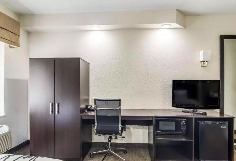 Standard-huone 2 Parivuodetta, Sleep Inn Austintown Youngstown, West