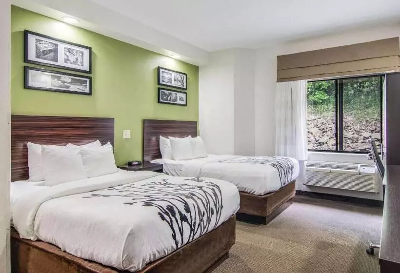 Standard-huone 2 Parivuodetta, Sleep Inn Austintown Youngstown, West