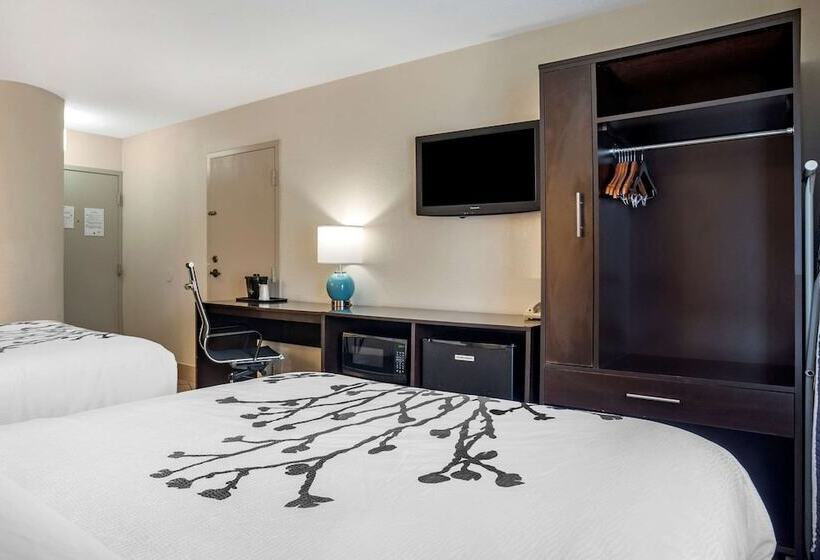 带2个双人床的标准工作室, Sleep Inn Destin Near Miramar Beach