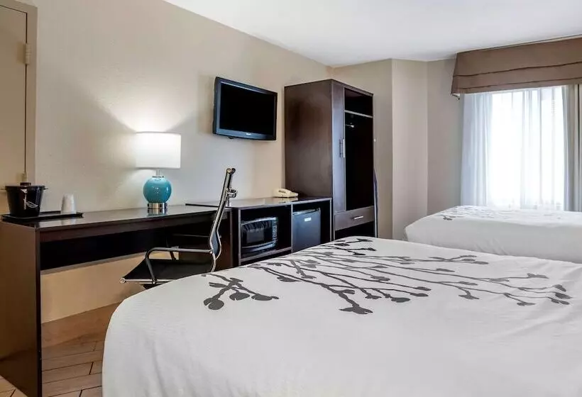 اتاق استاندارد با 2 تخت دوبل, Sleep Inn Destin Near Miramar Beach