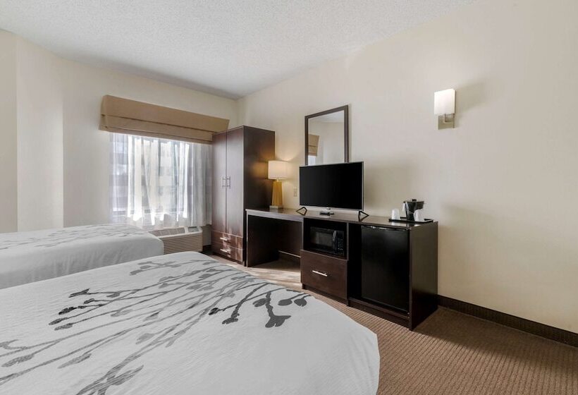 스탠다드 룸 더블 침대 2개, Sleep Inn Henderson Evansville South