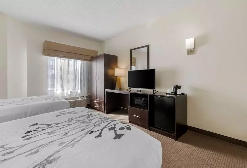 ２ダブルベッドのスタンダードルーム, Sleep Inn Henderson Evansville South
