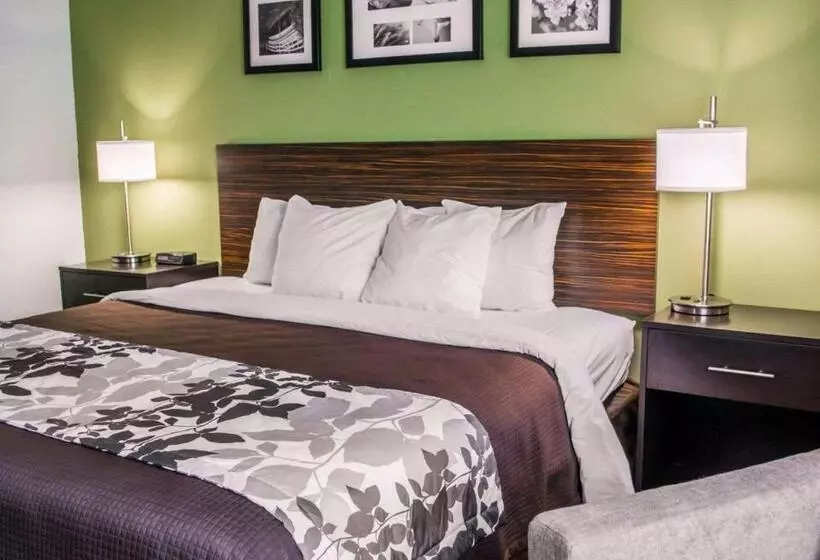 اتاق استاندارد با تخت بزرگ, Sleep Inn Historic