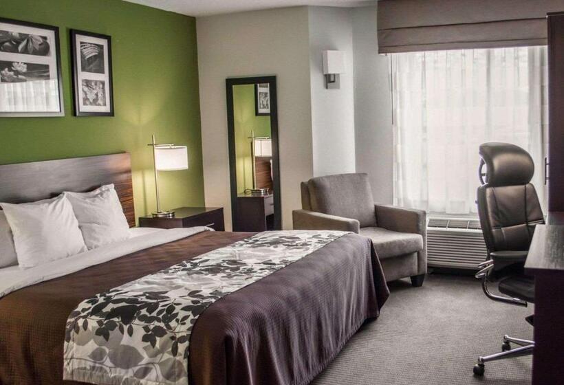 חדר סטנדרט עם מיטת קינג, Sleep Inn Historic