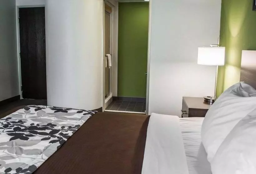 اتاق استاندارد با تخت بزرگ, Sleep Inn Historic