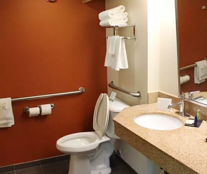 ２ダブルベッドのスタンダードルーム, Sleep Inn Mt. Pleasant  Charleston