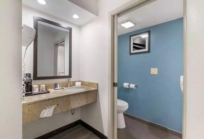 ２ダブルベッドのスタンダードルーム, Sleep Inn Mt. Pleasant  Charleston