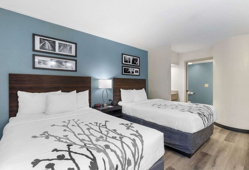２ダブルベッドのスタンダードルーム, Sleep Inn Mt. Pleasant  Charleston