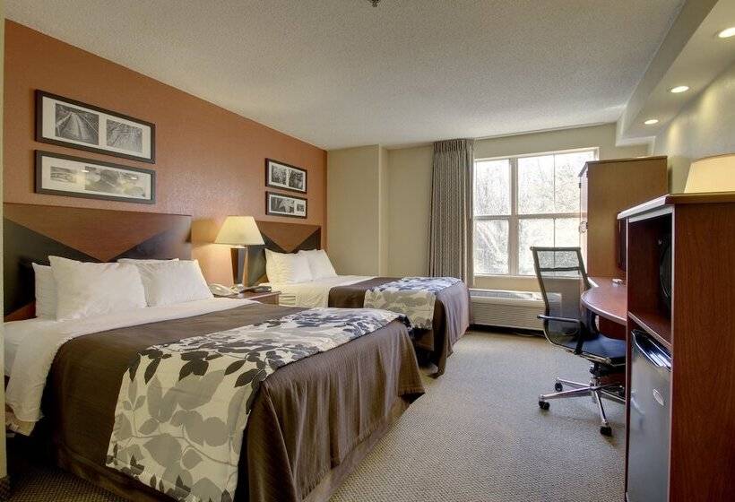 스탠다드 룸 더블 침대 2개, Sleep Inn Mt. Pleasant Charleston