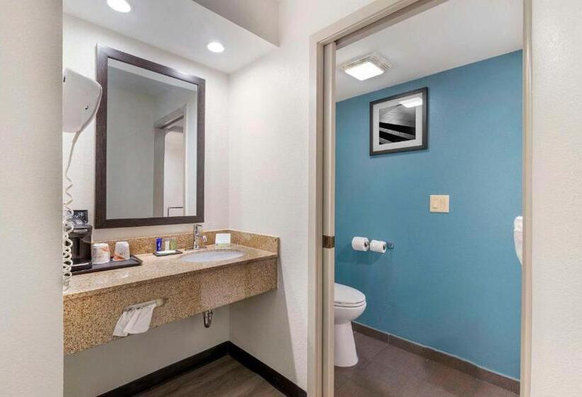 스탠다드 룸 더블 침대 2개, Sleep Inn Mt. Pleasant Charleston