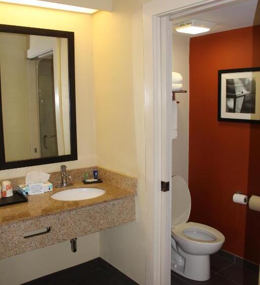 스탠다드 룸 킹사이즈 침대, Sleep Inn Mt. Pleasant Charleston