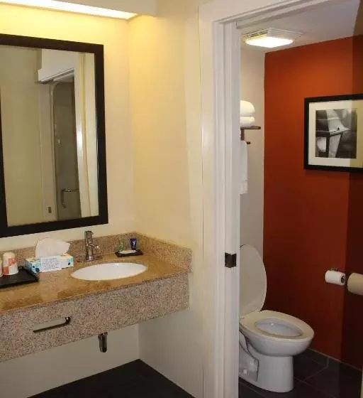 キングサイズベッドのスタンダードルーム, Sleep Inn Mt. Pleasant  Charleston
