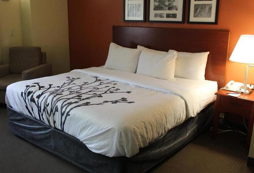 キングサイズベッドのスタンダードルーム, Sleep Inn Mt. Pleasant  Charleston