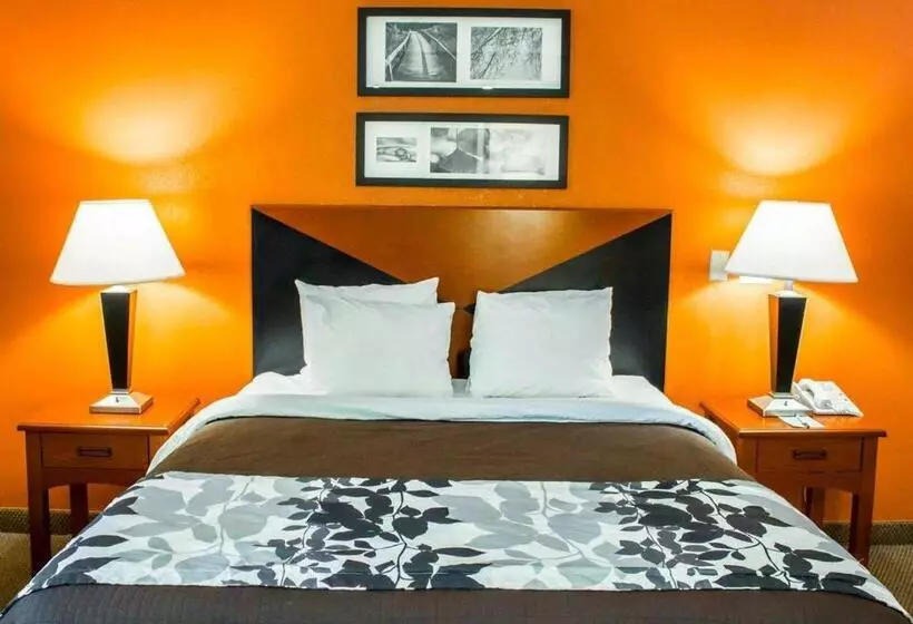 キングサイズベッドのスタンダードルーム, Sleep Inn Mt. Pleasant  Charleston