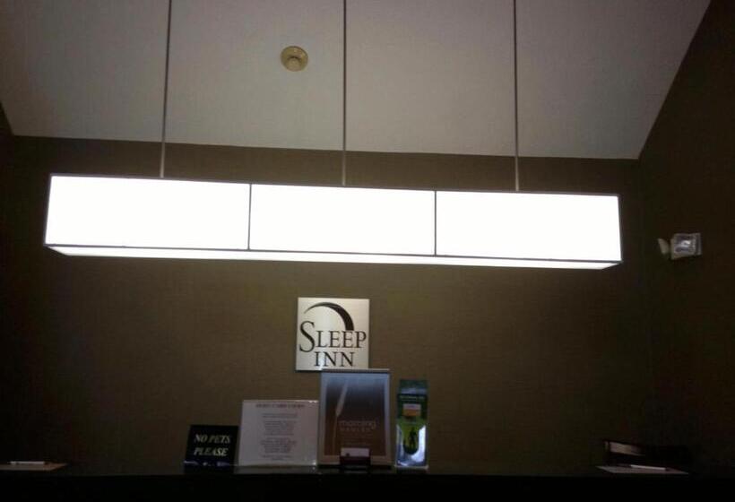 ２ダブルベッドのスタンダードルーム, Sleep Inn Pelham Oak Mountain