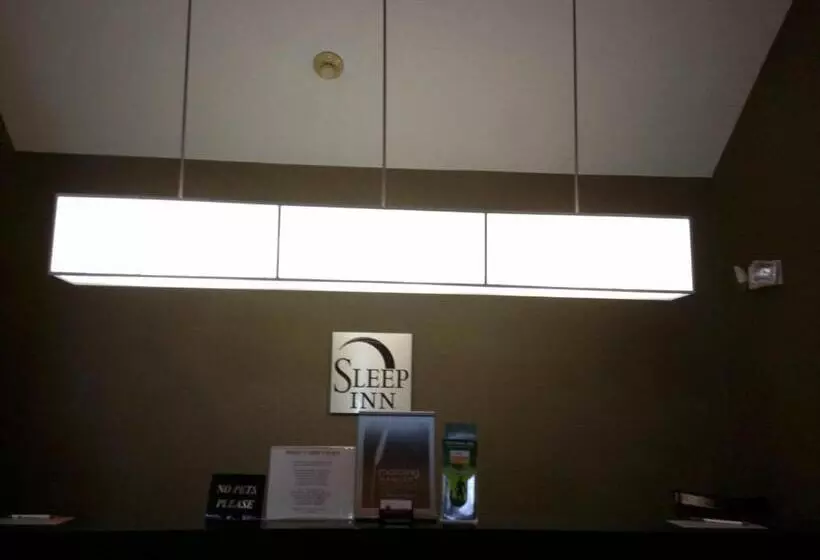 キングサイズベッドのスタンダードルーム, Sleep Inn Pelham Oak Mountain