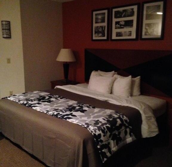 キングサイズベッドのスタンダードルーム, Sleep Inn Pelham Oak Mountain