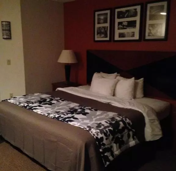 キングサイズベッドのスタンダードルーム, Sleep Inn Pelham Oak Mountain