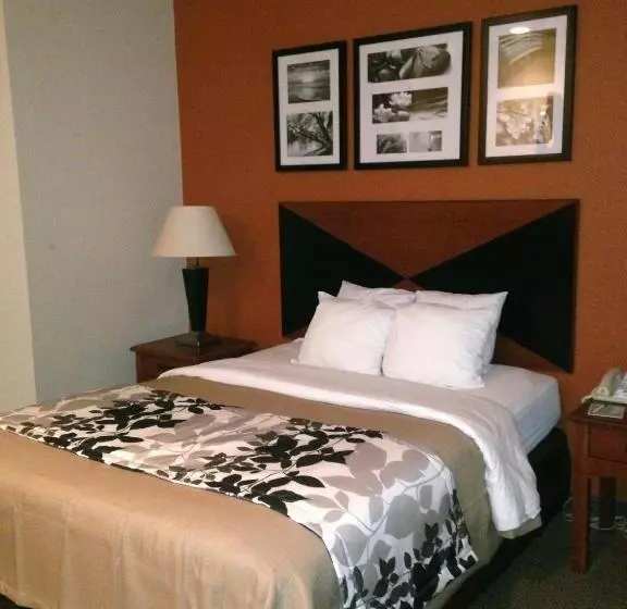 キングサイズベッドのスタンダードルーム, Sleep Inn Pelham Oak Mountain