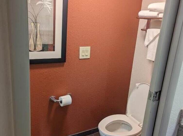 ２ダブルベッドのスタンダードルーム, Sleep Inn Pelham Oak Mountain