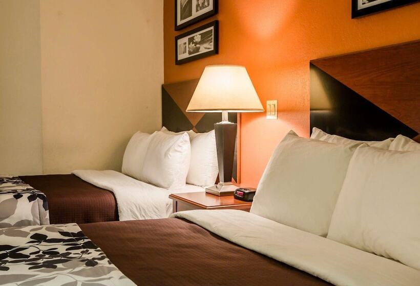 ２ダブルベッドのスタンダードルーム, Sleep Inn Pelham Oak Mountain