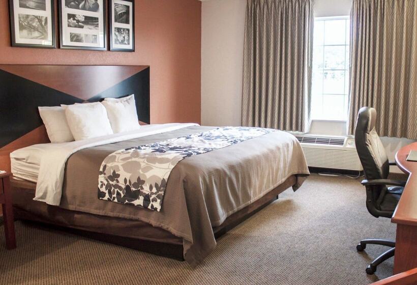 ２ダブルベッドのスタンダードルーム, Sleep Inn Pelham Oak Mountain