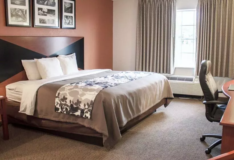 ２ダブルベッドのスタンダードルーム, Sleep Inn Pelham Oak Mountain