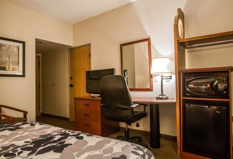 ２ダブルベッドのスタンダードルーム, Sleep Inn Pelham Oak Mountain