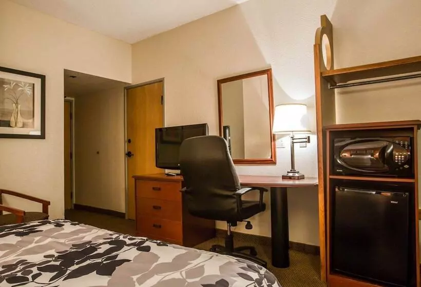 ２ダブルベッドのスタンダードルーム, Sleep Inn Pelham Oak Mountain