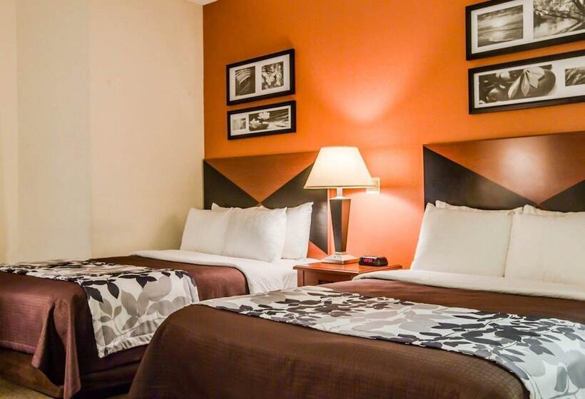 ２ダブルベッドのスタンダードルーム, Sleep Inn Pelham Oak Mountain