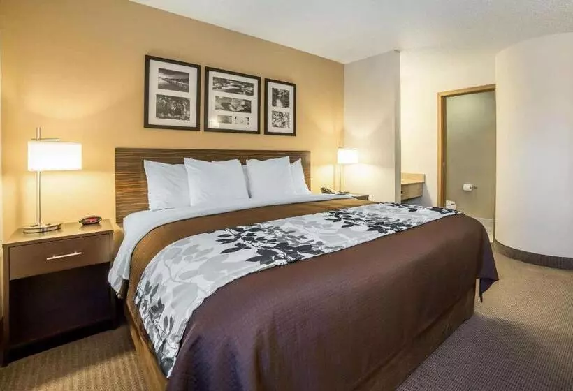 キングサイズベッドのスタンダードルーム, Sleep Inn Provo Near University