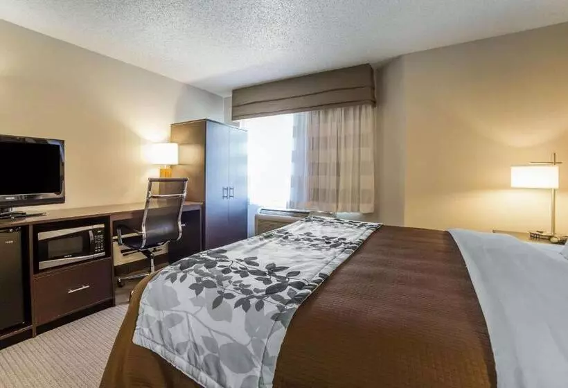 キングサイズベッドのスタンダードルーム, Sleep Inn Provo Near University