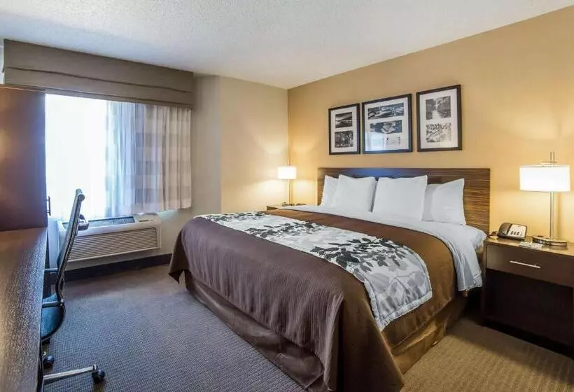 キングサイズベッドのスタンダードルーム, Sleep Inn Provo Near University