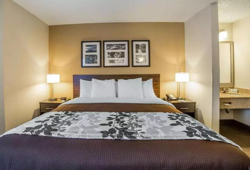キングサイズベッドのスタンダードルーム, Sleep Inn Provo Near University