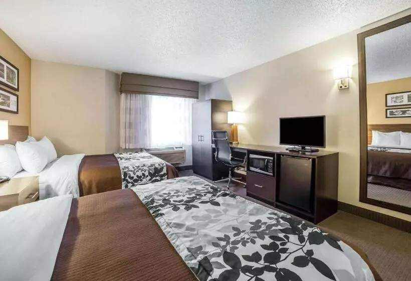スタンダードルーム, Sleep Inn Provo Near University
