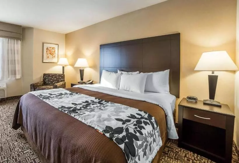 キングサイズベッドのスタンダードルーム, Sleep Inn Provo Near University