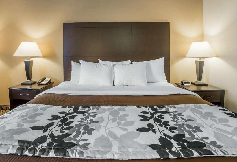 غرفة قياسية سرير كينج, Sleep Inn Provo Near University