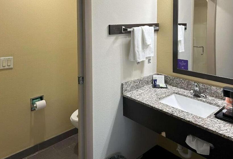 스탠다드 룸 킹사이즈 침대, Sleep Inn Wilson Near I 95