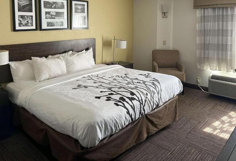 Стандартный Номер Кровать Кинг, Sleep Inn Wilson Near I 95
