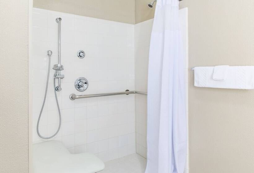 套房, Springhill Suites By Marriott Houston Brookhollow