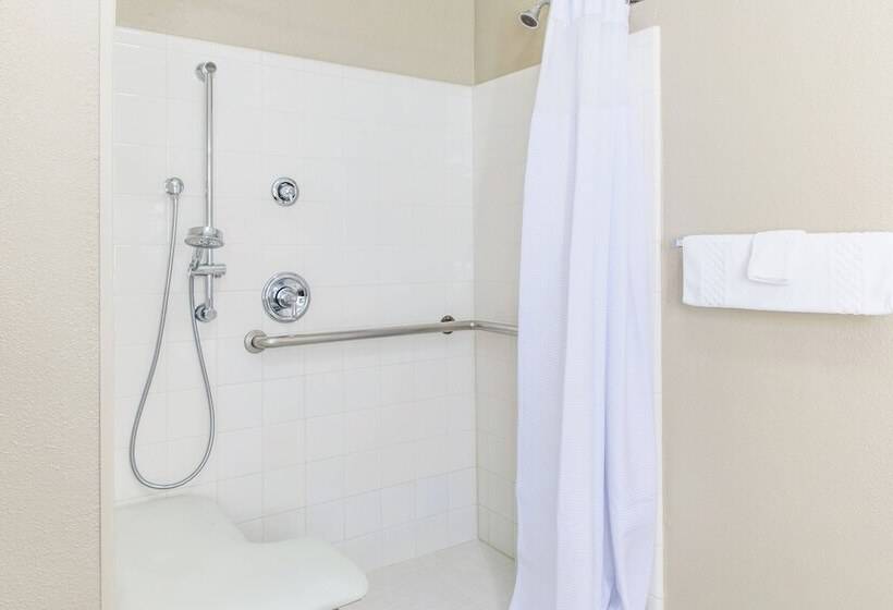 套房, Springhill Suites By Marriott Houston Brookhollow