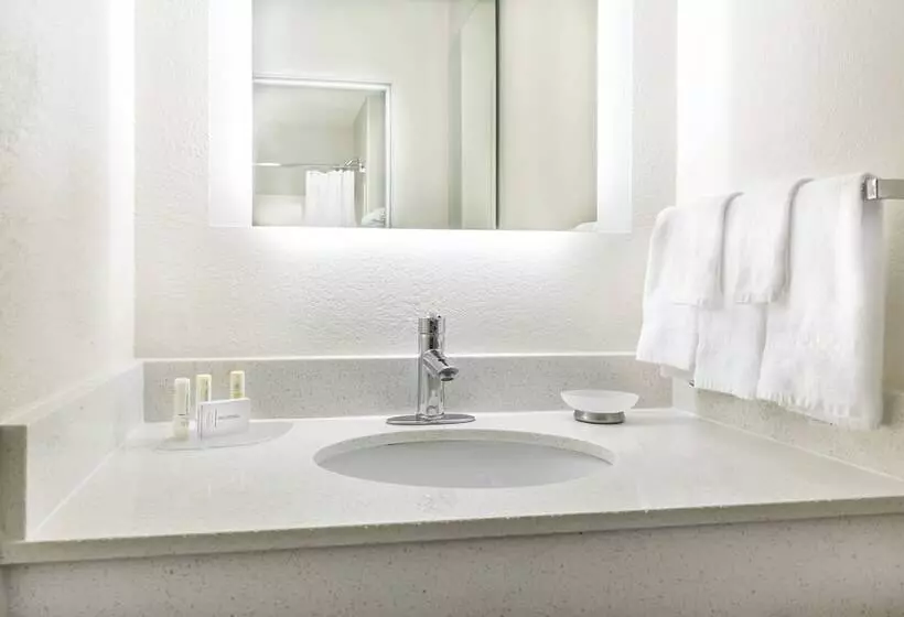 スイート, Springhill Suites By Marriott Houston Brookhollow