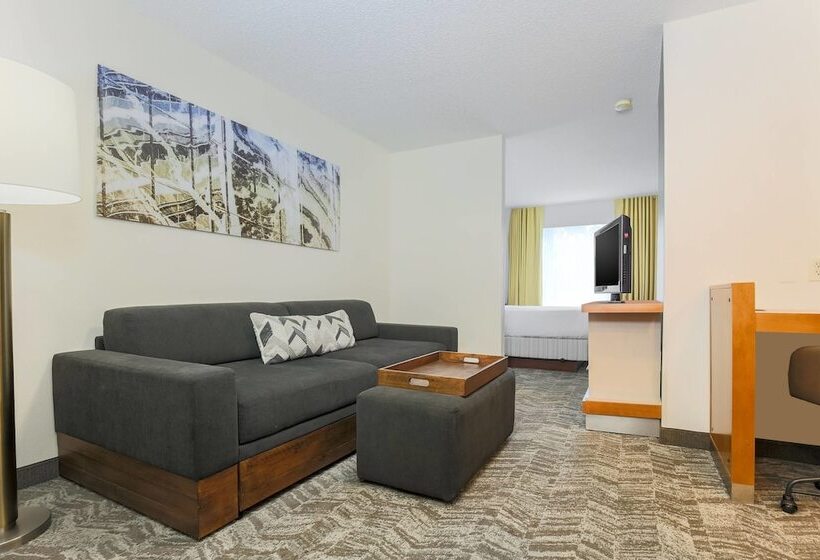 Люкс, Springhill Suites By Marriott Houston Brookhollow