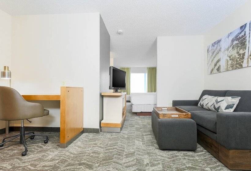 套房, Springhill Suites By Marriott Houston Brookhollow